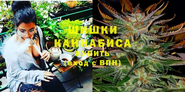 прущая мука Арсеньев